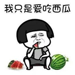吃娱乐圈的瓜文案,趣味文案揭秘明星幕后故事
