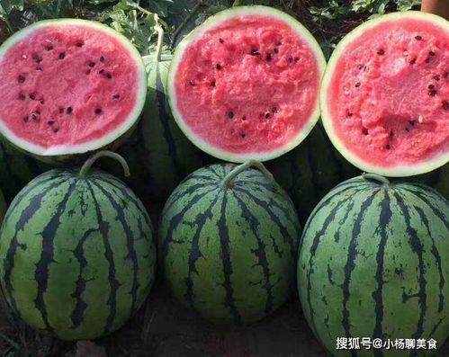 娱乐吃瓜酱不叠被子,从“吃瓜酱不叠被子”看明星私生活点滴