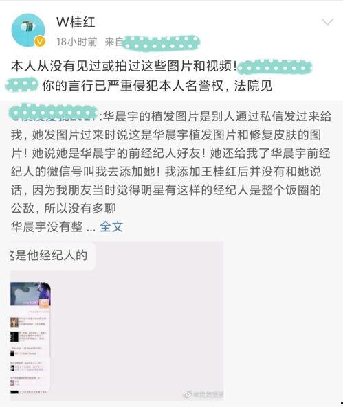娱乐吃瓜站完整版,娱乐吃瓜站完整版深度解析