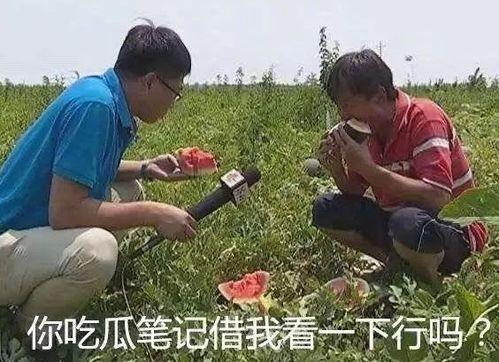 娱乐吃瓜场,揭秘吃瓜场背后的真相与热点
