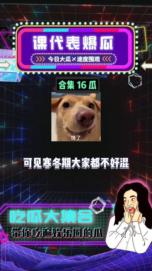 吃瓜娱乐八卦号是什么,吃瓜娱乐八卦号背后的秘密与魅力