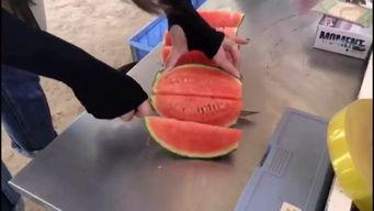 娱乐吃瓜群众集合视频