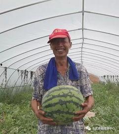 寺寺娱乐吃瓜,揭秘娱乐圈吃瓜背后的真相