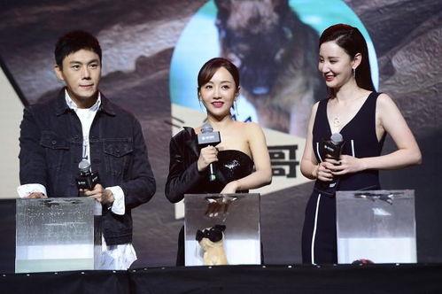 娱乐圈吃瓜合集2022