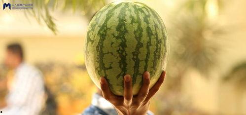 2021娱乐吃瓜,吃瓜群众的热议焦点大盘点